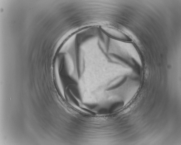 X0000061141332200512091924