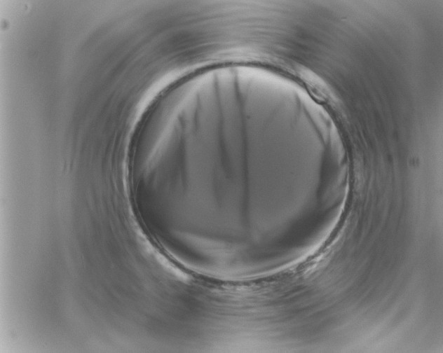 X0000061141334200512091924