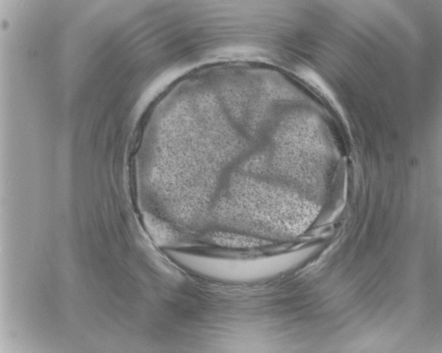 X0000061141336200512091924