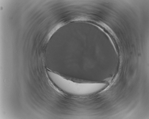 X0000061141337200512091924