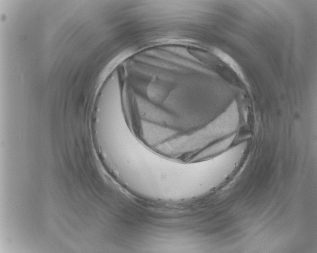 X0000061141338200512091924