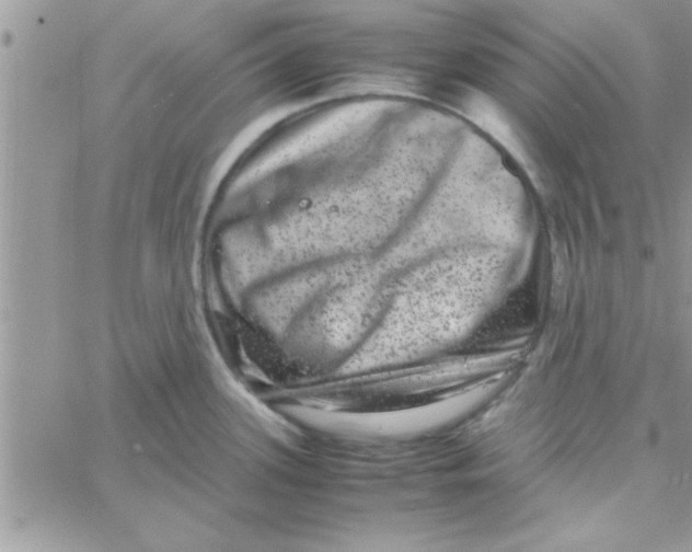 X0000061141339200512091924