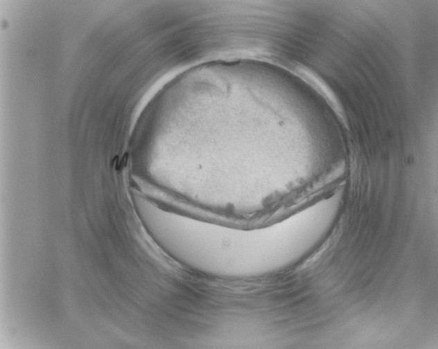 X0000061141340200512091924