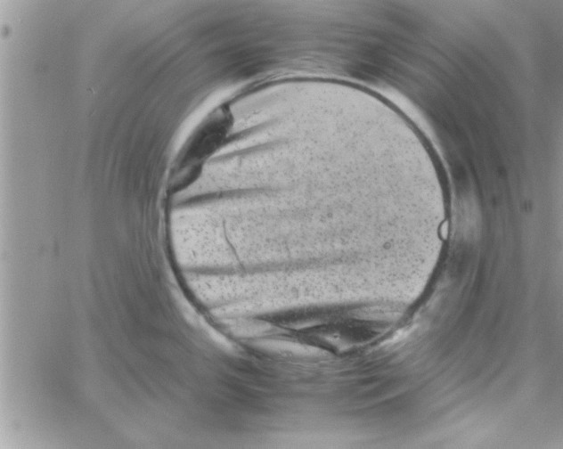 X0000061141341200512091924