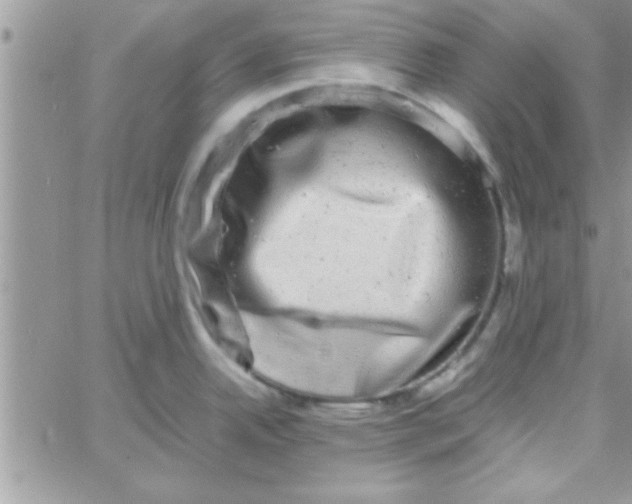 X0000061141342200512091924