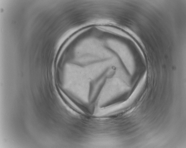 X0000061141343200512091924