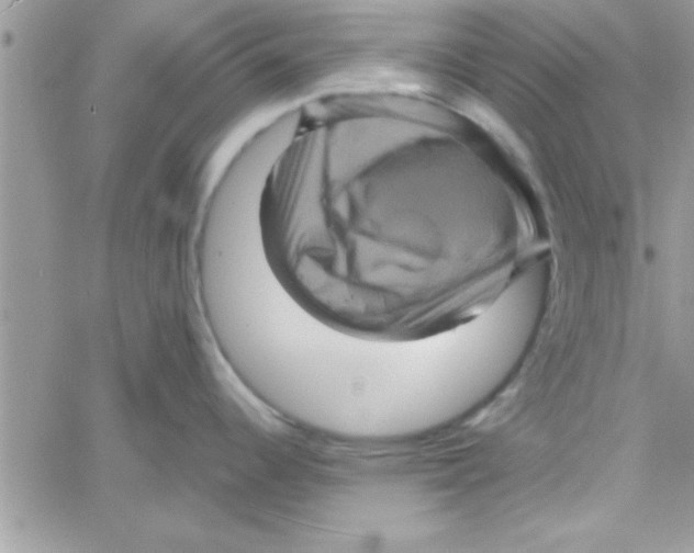 X0000061141344200512091924