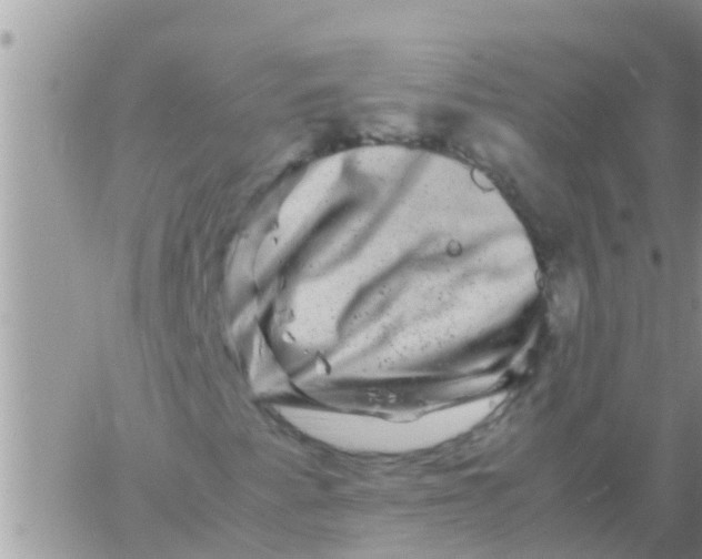 X0000061141345200512091923