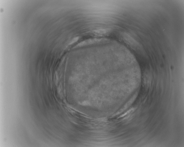 X0000061141346200512091923