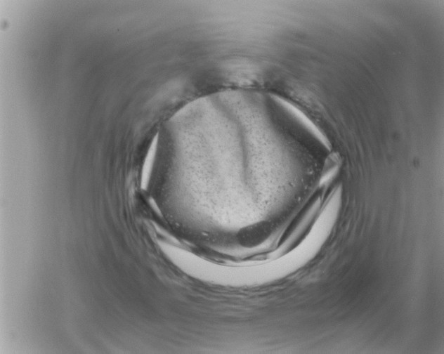 X0000061141347200512091923