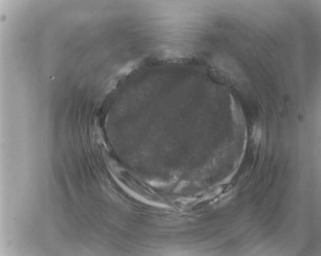 X0000061141348200512091923