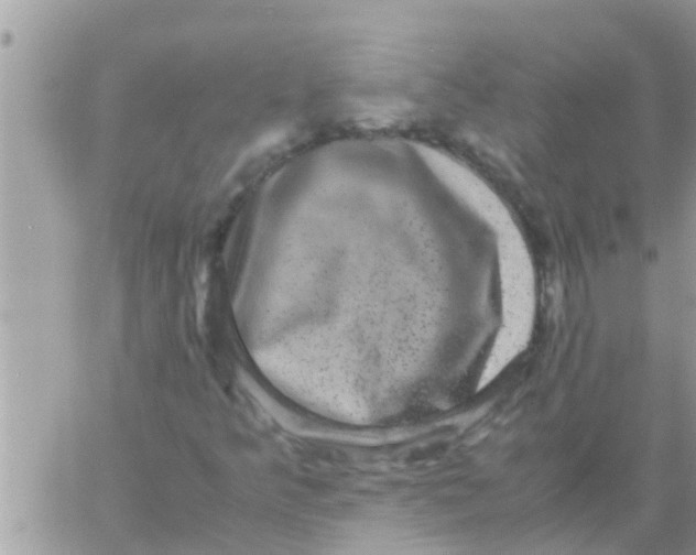 X0000061141349200512091923