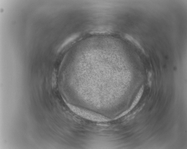 X0000061141350200512091923