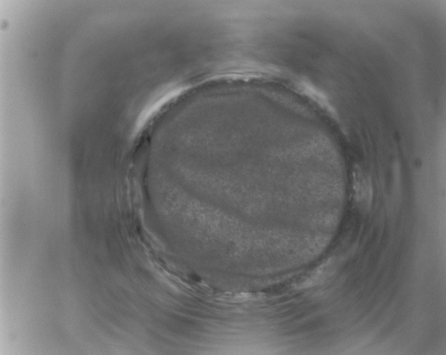 X0000061141352200512091923