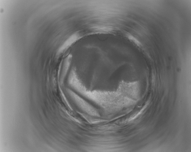 X0000061141354200512091923