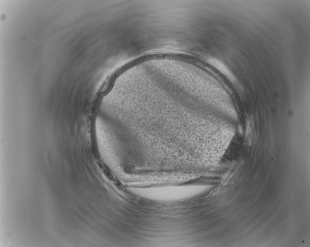 X0000061141356200512091923