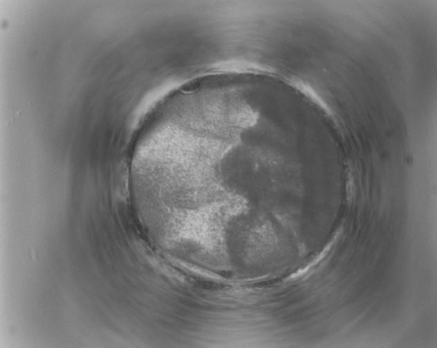 X0000061141358200512091923