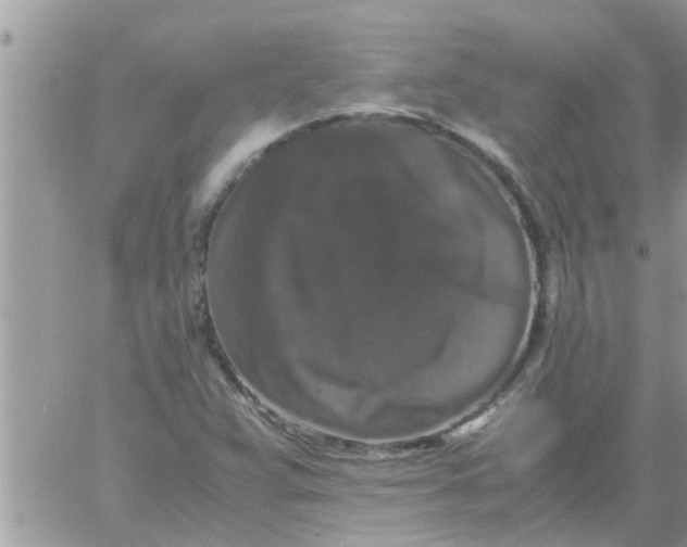 X0000061141359200512091923