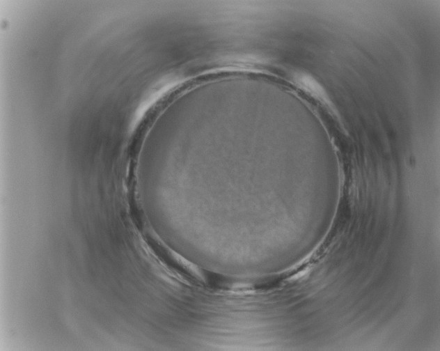 X0000061141360200512091923