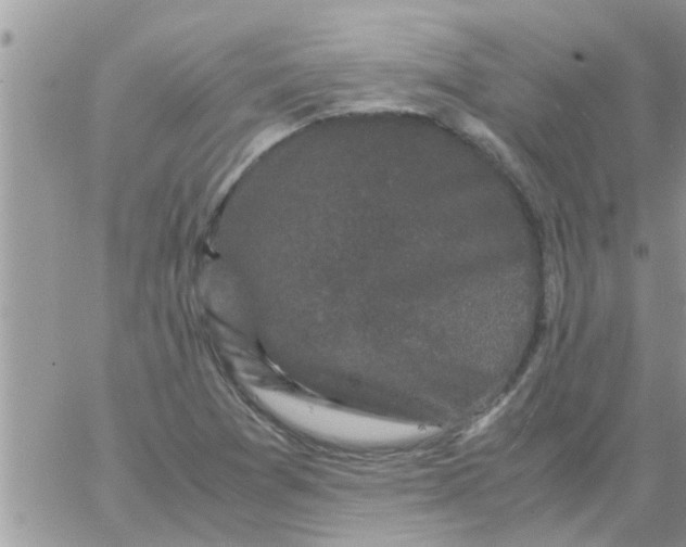 X0000061141361200512091923