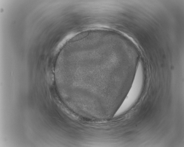 X0000061141363200512091923