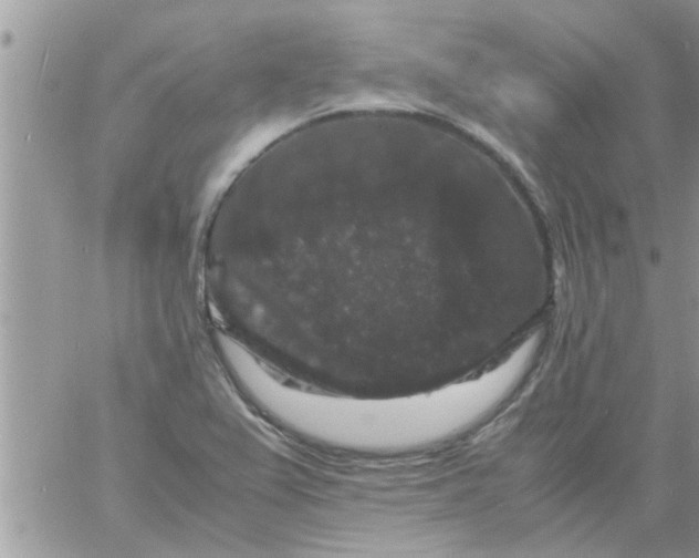 X0000061141367200512091923