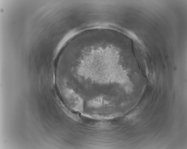 X0000061141368200512091923