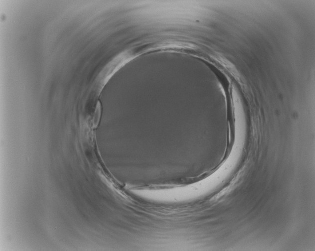 X0000061141369200512091923