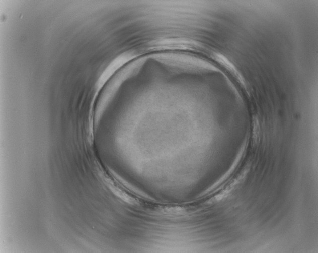 X0000061141370200512091923