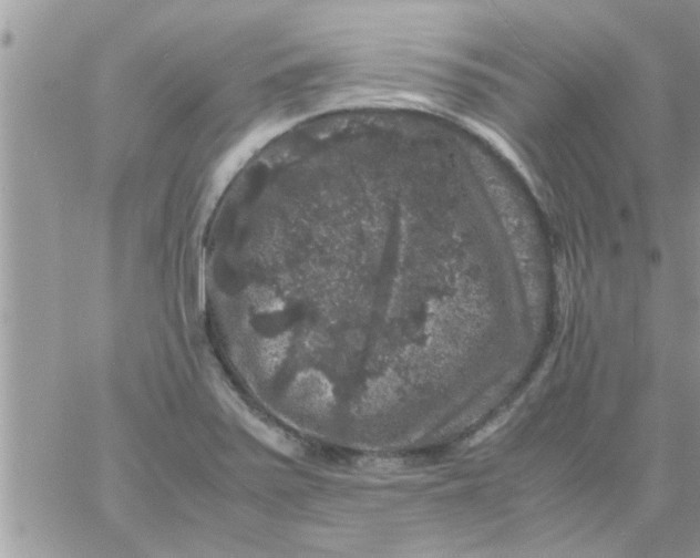 X0000061141371200512091923