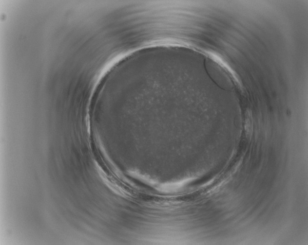 X0000061141372200512091923