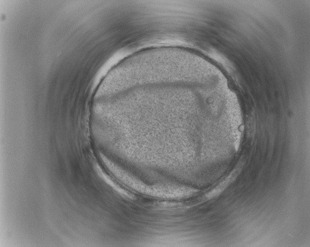 X0000061141374200512091923