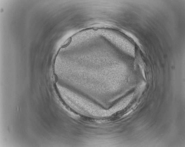 X0000061141375200512091923