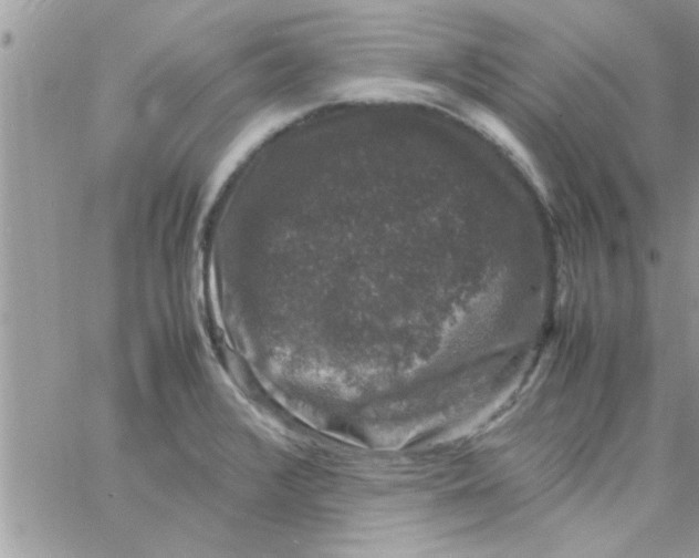 X0000061141376200512091923