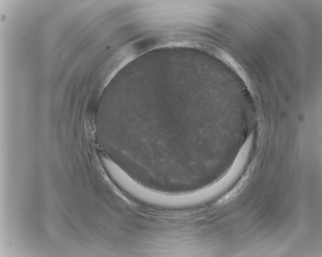 X0000061141377200512091923