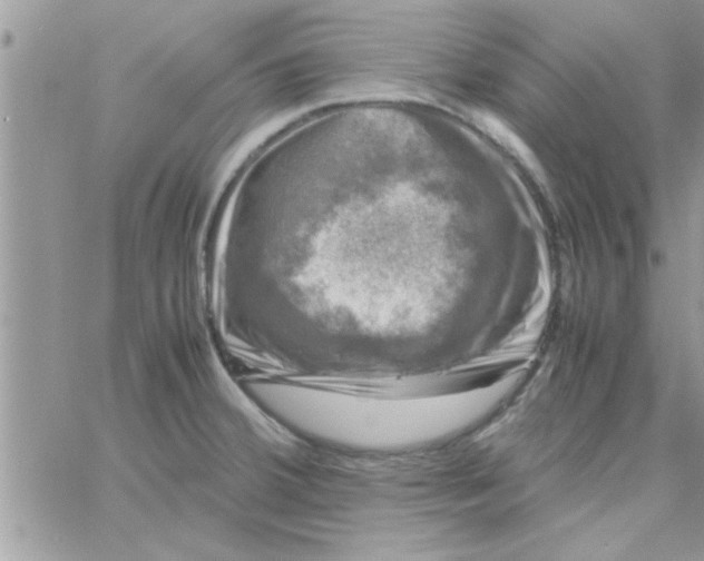 X0000061141380200512091923