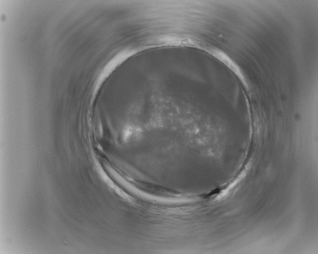 X0000061141381200512091923