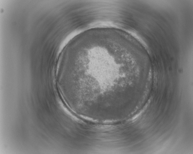 X0000061141382200512091923