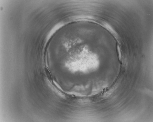 X0000061141384200512091923