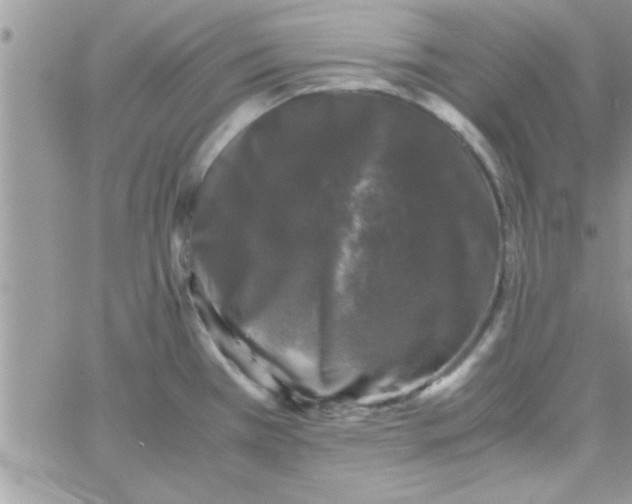 X0000061141385200512091923