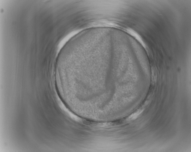 X0000061141387200512091923