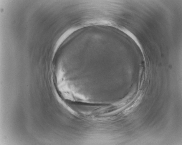 X0000061141389200512091923