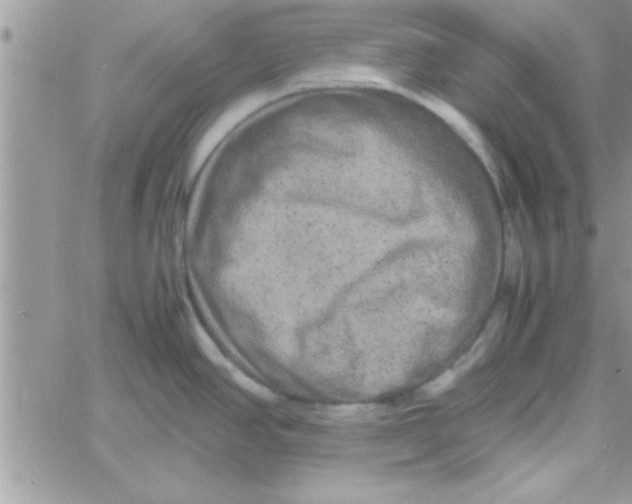 X0000061141390200512091923