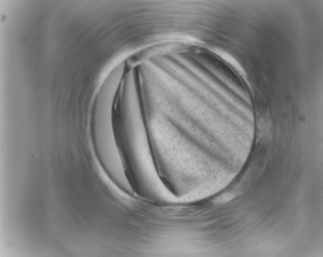 X0000061141391200512091923