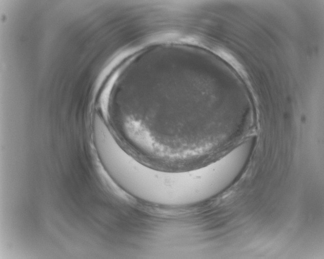 X0000061141392200512091923