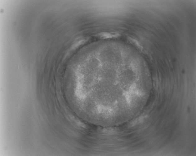 X0000061141393200512091922