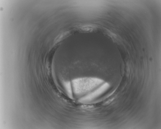 X0000061141394200512091922