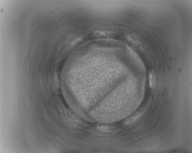 X0000061141395200512091922