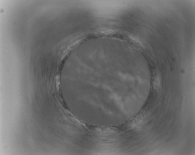 X0000061141397200512091922