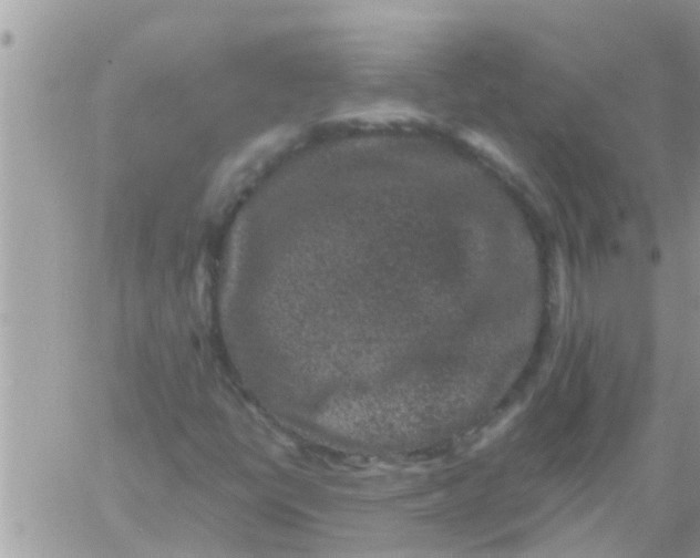 X0000061141398200512091922